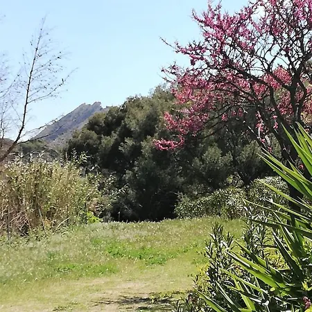 28m2 Climatisé,wifi, Proche Des Calanques,plages *