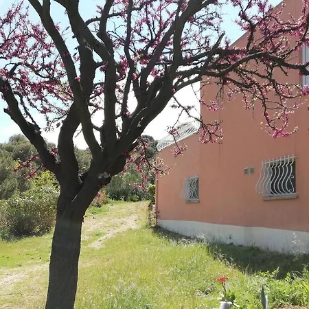 28m2 Climatise,wifi, Proche Des Calanques,plages *